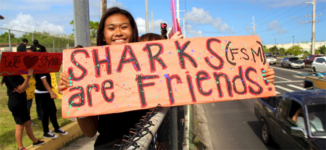 На Гуаме акула отобедала туристом из Южной Кореи