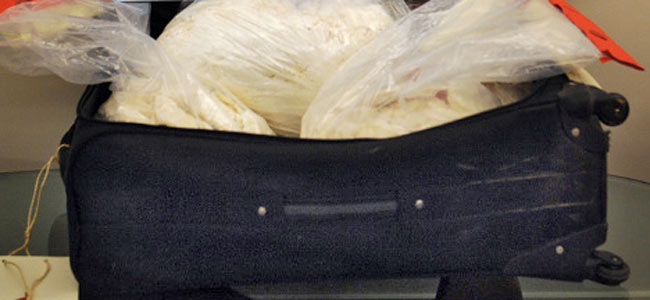 Чемодан ничейного кокаина прилетел во Францию под видом багажа пожилой пары туристов