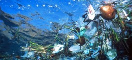 Сёрфинг по волнам мусора в Индонезии глазами гавайского фотографа