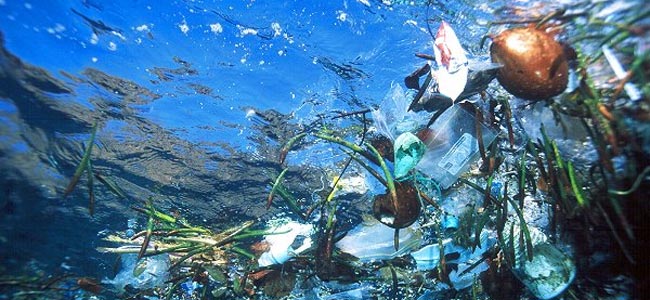 Сёрфинг по волнам мусора в Индонезии глазами гавайского фотографа