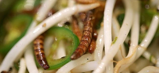 Пассажир, летевший в Дели, обнаружил червей в самолетной еде