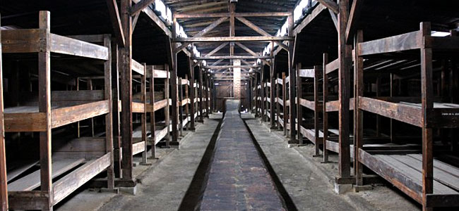 Лагерь смерти Освенцим растаскивается туристами на сувениры