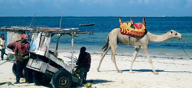 mombasa-beach