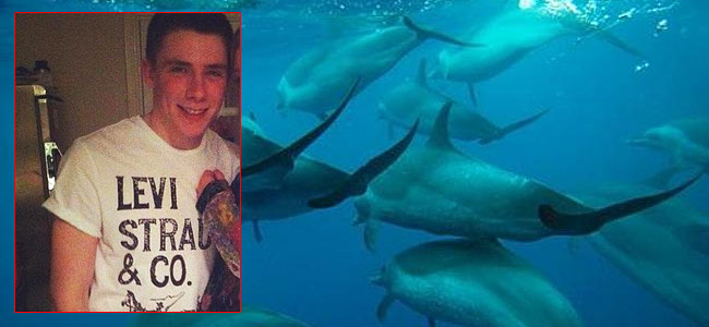 Плавая с дельфинами, на Маврикии погиб подросток из Британии