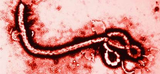 ebola-virus-tourist