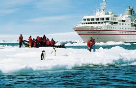 Наплыв гостей в Антарктиде создает серьезные проблемы