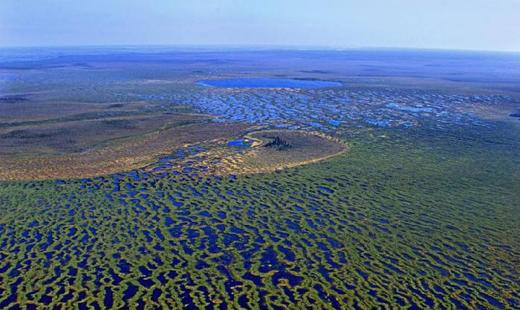 Сибирское болото станет излюбленным туристическим местом