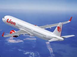 Пассажиры Lion Air взбунтовались из-за задержки рейсов