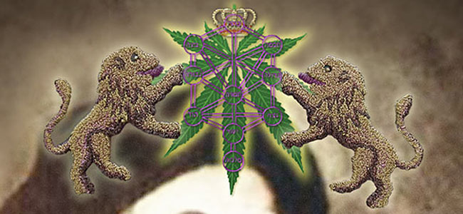 cannabis-israeli