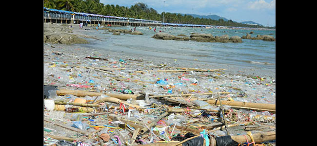 Тихий тайский курорт Банг Саен хоронит былой шарм под слоем мусора и мертвечины
