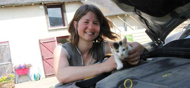 Котенок выжил, проехав 200 км по Франции в… двигателе автомобиля