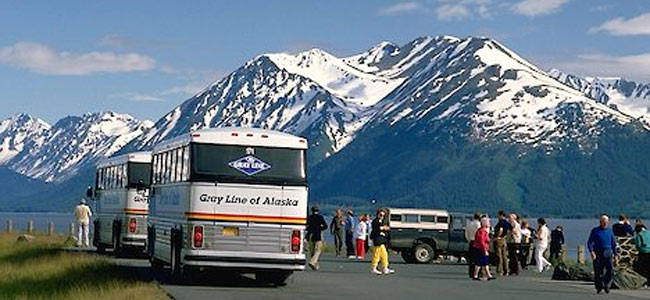 Труперы Аляски арестовали пьяного водителя автобуса, рисковавшего жизнями 46 туристов