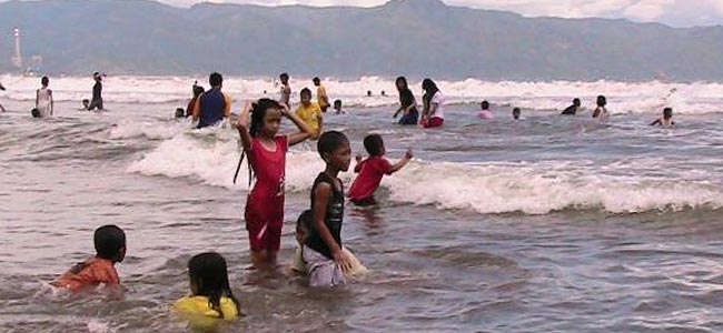 Медузы в один день ужалили 60 туристов в водах Индонезии