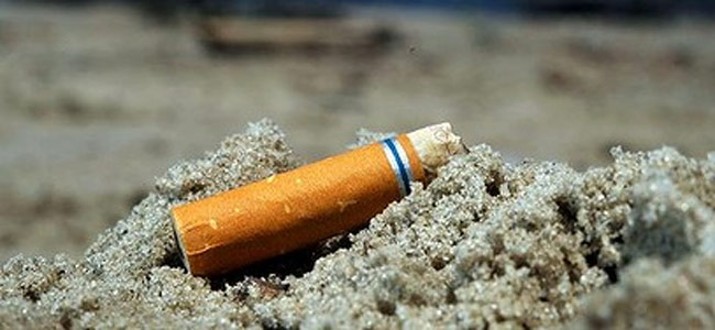 cigarette-butt-beach