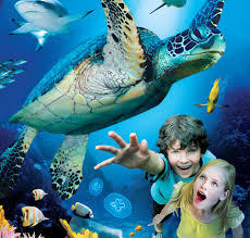 Испанский «морской зоопарк» привлечет 100 тыс. туристов
