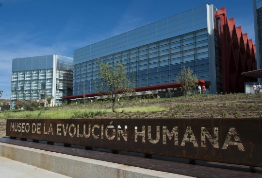 Испанский музей эволюции признан самой привлекательной европейской достопримечательностью