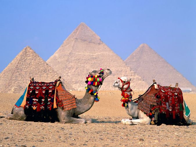 oteli egipta